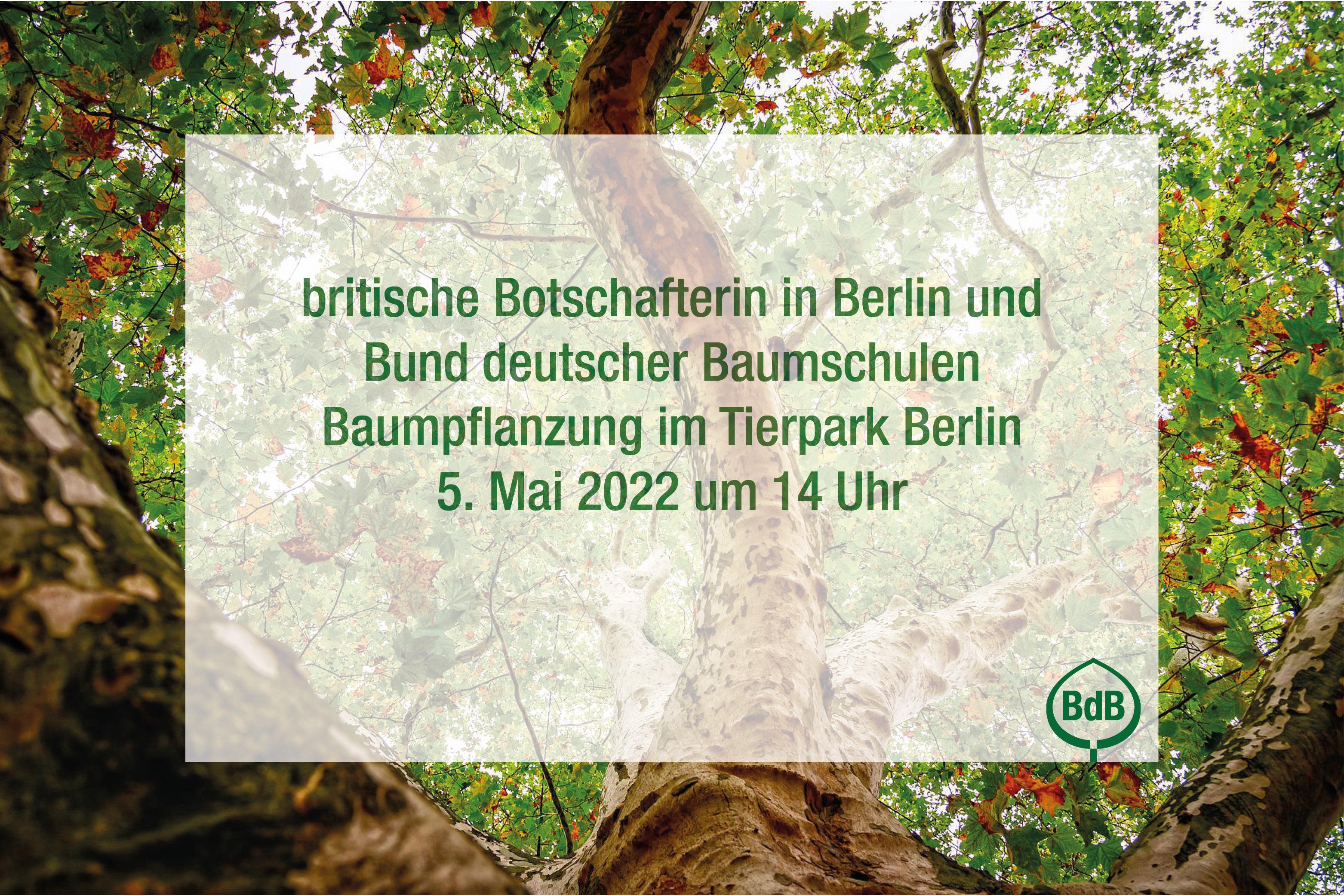 The Queen's Green Canopy: Gemeinsame Baumpflanzung der britischen ...